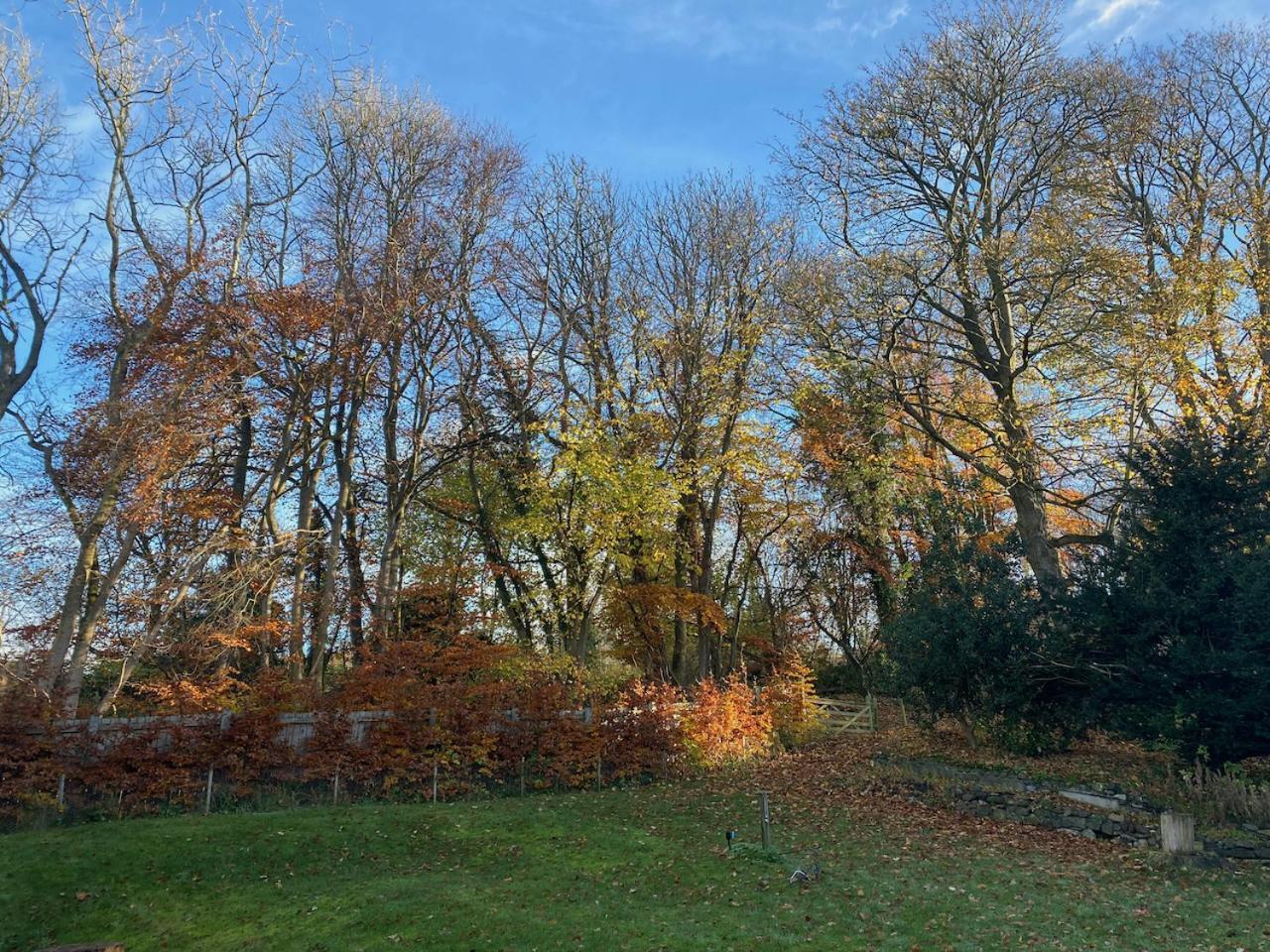 Mill Cottage Garden Studio Nr ميلروز المظهر الخارجي الصورة